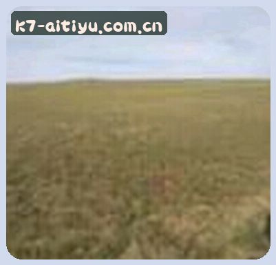 周敏